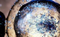 阜新市試管助孕中心試管嬰兒費(fèi)用