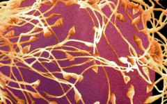 吉林大學(xué)第一醫(yī)院試管多少錢