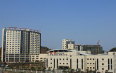 永州市中心醫(yī)院試管嬰兒