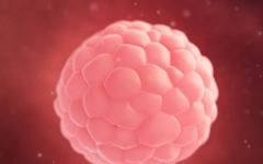 廣元市中心醫(yī)院試管嬰兒費(fèi)用