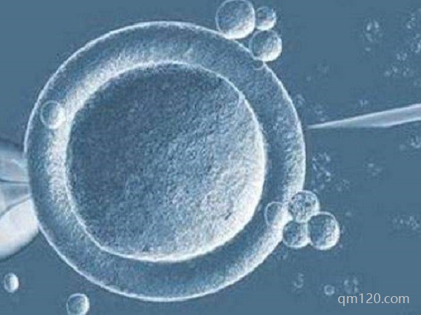 試管多久畢業(yè)