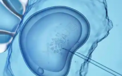 臨汾市試管助孕中心試管嬰兒費用