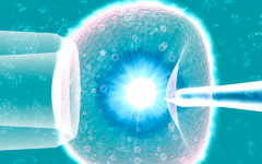 鹽城婦幼保健院試管嬰兒價格參考