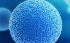 吉爾吉斯斯坦試管助孕攻略