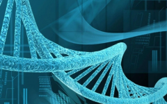 泰國(guó)試管需要什么手續(xù)