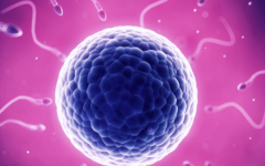 南昌康健生殖醫(yī)院做試管需要多少費(fèi)用多少錢