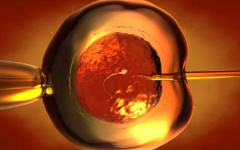 西安私立試管試管?？漆t(yī)院試管收費標準