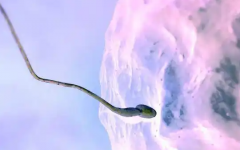 做試管嬰兒的全部流程