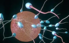 杭州市中醫(yī)院丁橋院區(qū)試管多少錢(qián)