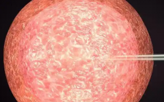 綿陽市中心醫(yī)院做試管嬰兒價(jià)格介紹