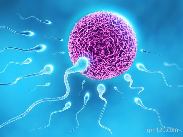 做試管長(zhǎng)春好還是沈陽(yáng)好