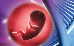 泰國試管嬰兒最新規(guī)定