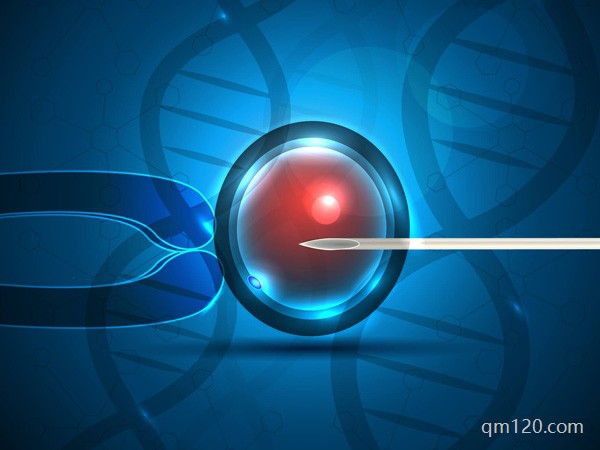 蘭州和西安哪個試管好