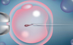 山東古藥大學(xué)附屬醫(yī)院試管成功率