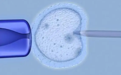 中信雅湘試管4次不成功