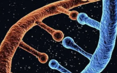 美國(guó)LIFE生命試管嬰兒中心