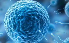 北京大學(xué)第一醫(yī)院試管嬰兒多少錢