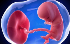 我發(fā)現(xiàn)試管的孩子都很漂亮