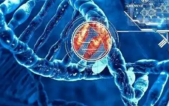 隨州市中心醫(yī)院試管嬰兒的大概費(fèi)用明細(xì)