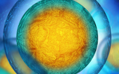 上海集仁遺傳與不育診療中心試管嬰兒費(fèi)用