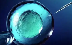 遺傳病做三代試管多少錢