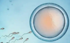 陸軍輔助生殖醫(yī)院試管嬰兒要花多少錢