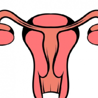 輸卵管炎