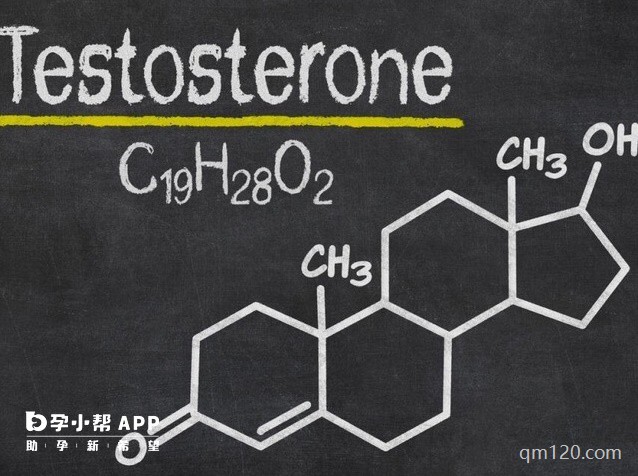 女性睪酮高嚴(yán)重嗎