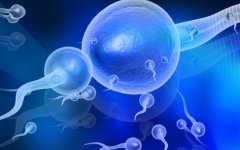 深圳市婦幼保健院試管嬰兒費(fèi)用