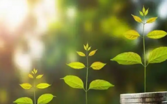 安醫(yī)附院做試管費(fèi)用大約多少