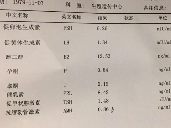 amh值低于0.1試管成功率多少