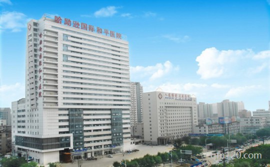 衡水試管助孕中心