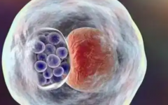 北京中醫(yī)醫(yī)院做試管嬰兒多少錢才夠