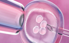 北京開放單身女性試管生育