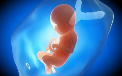 三代試管小孩的缺陷