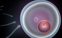 amh低于多少不能做試管