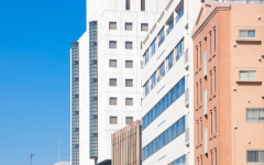 日本私立試管醫(yī)院排名