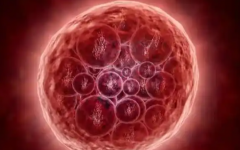 北京日游醫(yī)院試管嬰兒報(bào)價(jià)