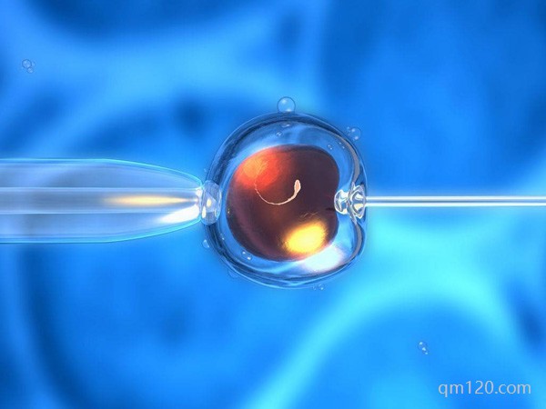 二代試管嬰兒的費用大約是多少