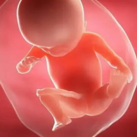 子宮內(nèi)膜厚度