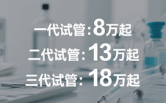 2026杰特寧試管收費價目表