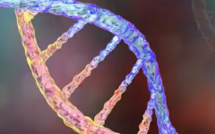 溫州醫(yī)科大學(xué)附屬第二醫(yī)院做試管費(fèi)用解讀