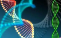 武漢市第三醫(yī)院試管總費(fèi)用大概是多少錢