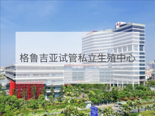 格魯吉亞私立試管機構