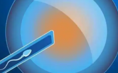 河北醫(yī)科大學(xué)第一醫(yī)院做試管貴嗎