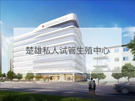 楚雄私立試管機(jī)構(gòu)