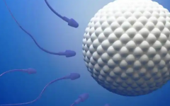 已有三個孩子還可以做試管嗎