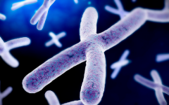 得兒達(dá)第三代試管嬰兒醫(yī)院試管多少錢(qián)