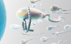 北京家圓醫(yī)院收費高嗎