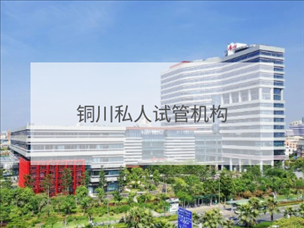 銅川私立試管機構